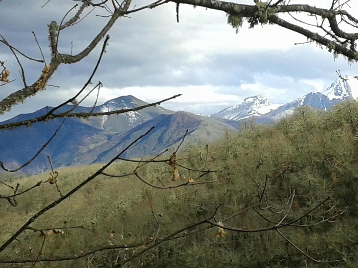 La Casuca Y La Cabana Ojedo Bagian luar foto